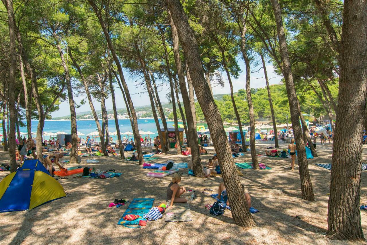 Apartment Palcic Примоштен Экстерьер фото